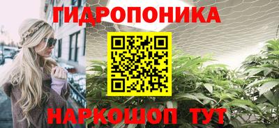 стафф Обнинск