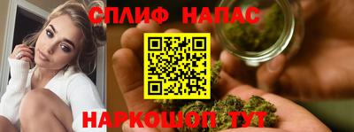 индика Нягань