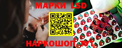 индика Нягань