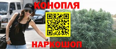 индика Нягань